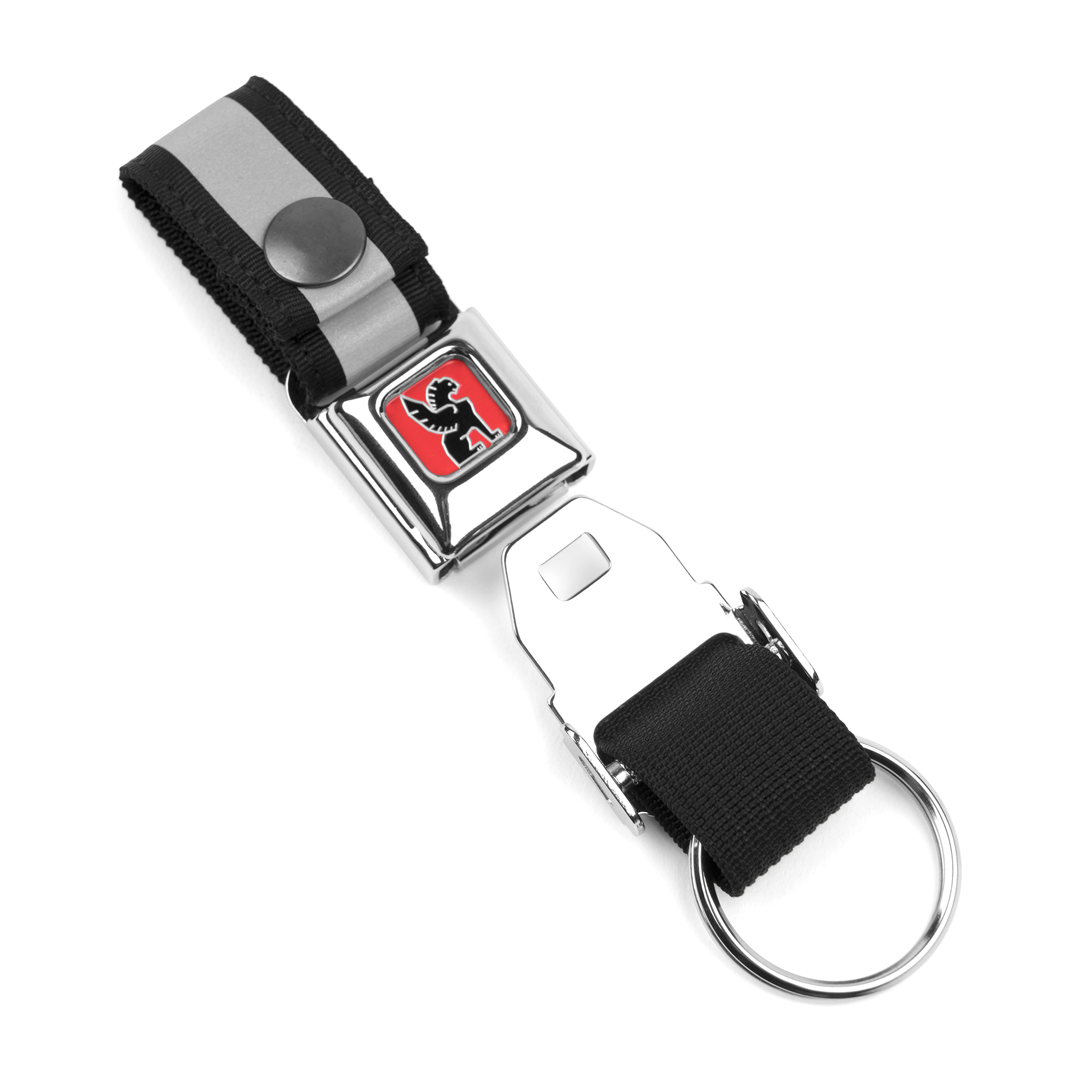 Mini Buckle Key Chain