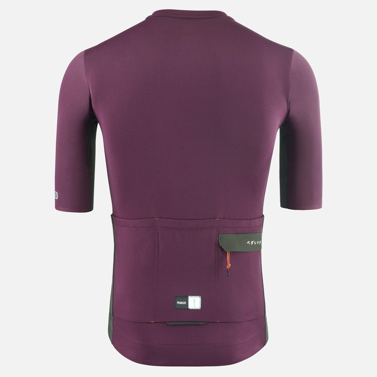PEdALED Odyssey Radtrikot Herren PEdALED Odyssey Radtrikot Herren
