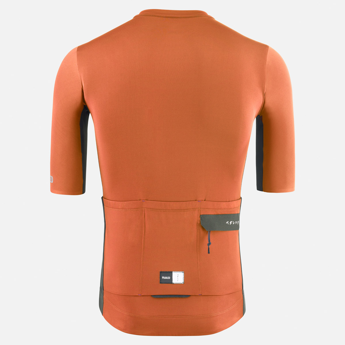 PEdALED Odyssey Radtrikot Herren Pedaled-23SJSOD-Men-ODYSSEY_JERSEY_BOMBAY-BROWN_back