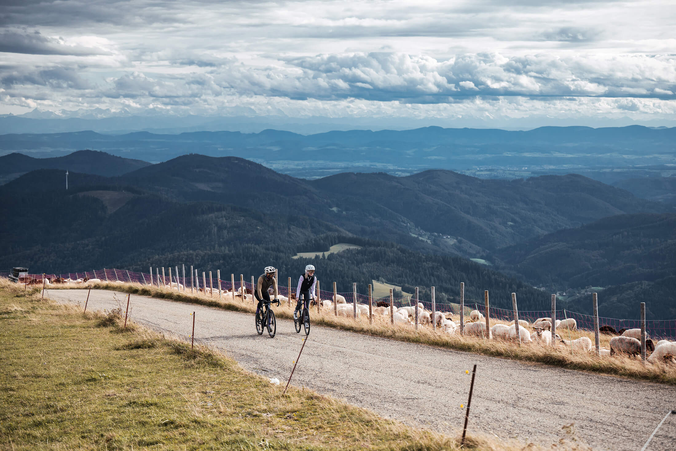 Sale-Artikel_bei-GENVELO Sale-Artikel_bei-GENVELO