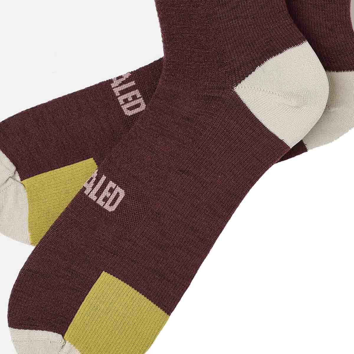 PEdALED Odyssey Merino Radsocken Unisex Pedaled-ODYSSEY_MERINO_SOCKS-DARK-RED-2