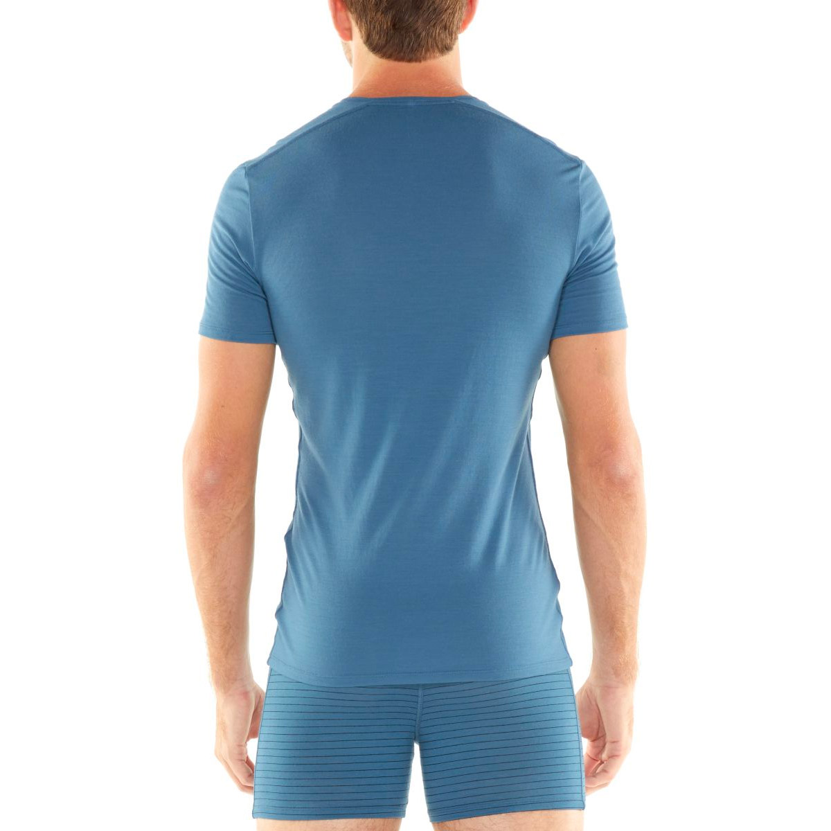 Icebreaker Anatomica SS Crewe T-Shirt Herren SS19-UNDERWEAR-MEN-ANATOMICA-SS-CREWE-103033414_3, T-shirt, Ärmel, Hemd, Mann, Person