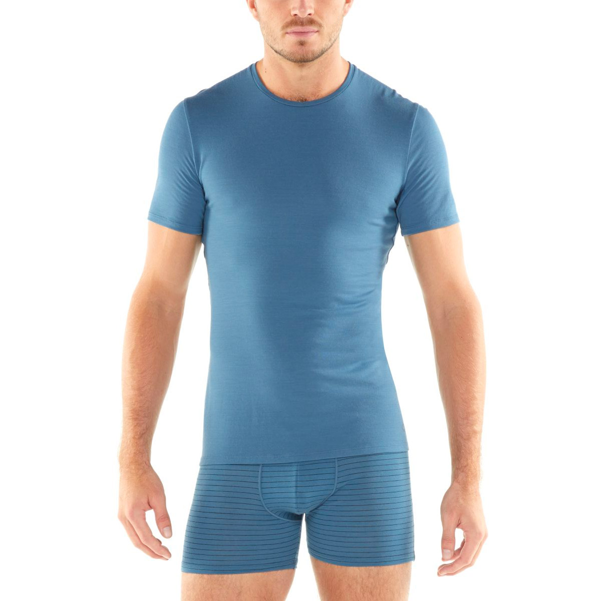 Icebreaker Anatomica SS Crewe T-Shirt Herren SS19-UNDERWEAR-MEN-ANATOMICA-SS-CREWE-103033414_2